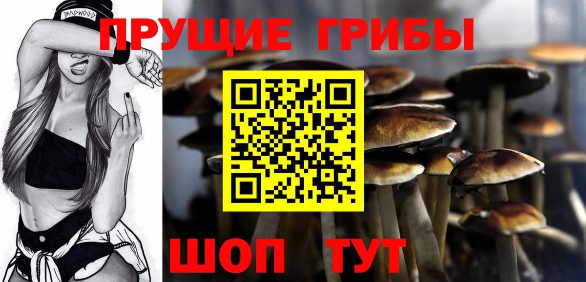 Кубинка  Псилоцибиновые грибы Magic Shrooms  Вход с VPN 